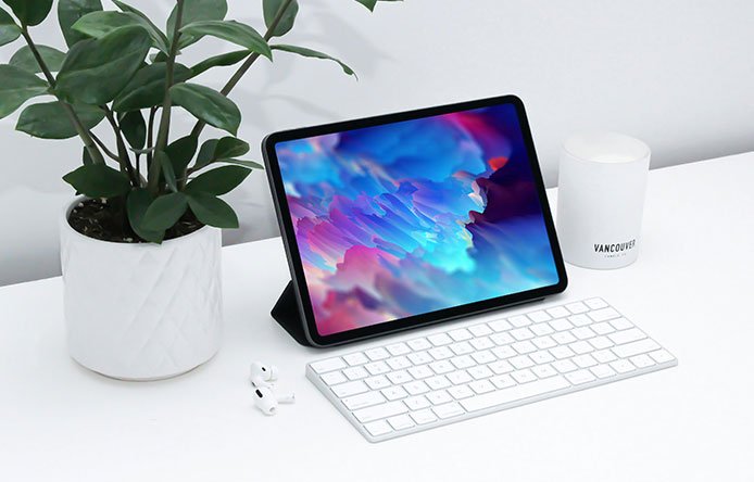 VistaVision P1 - Image 2